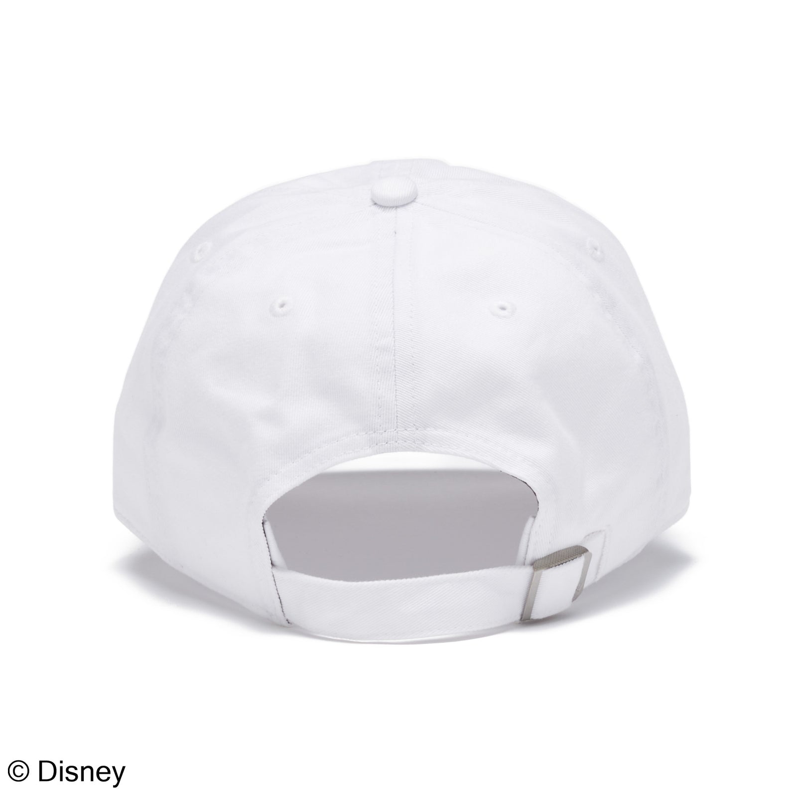 47 クリーンナップ Disney ディズニー デイジーダック ココナッツ