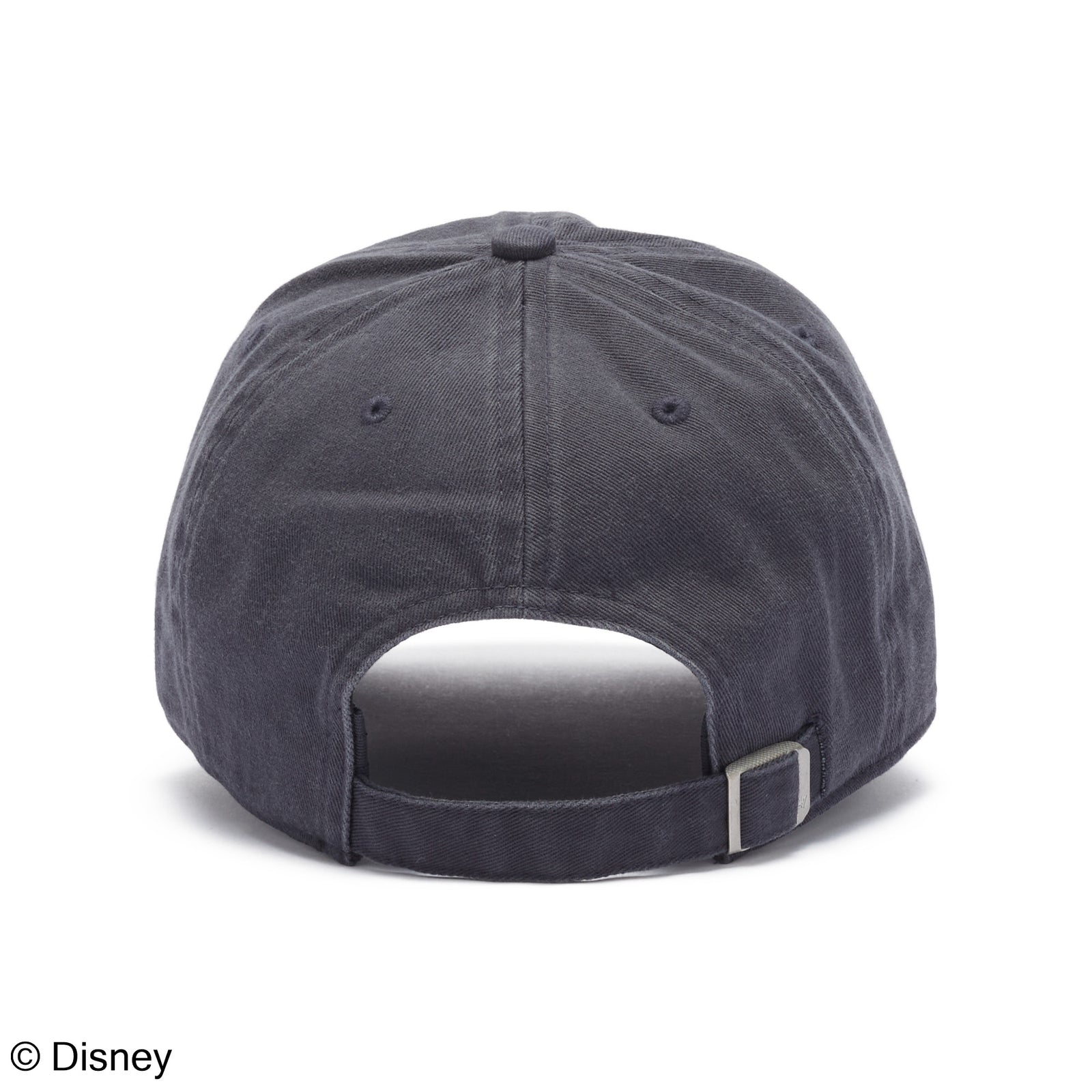 チャナティップ 47 クリーンナップ Disney ディズニー チップ&デール