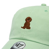 '47 クリーンナップ DOG プードル アロエ  | ’47 フォーティーセブン公式オンラインストア