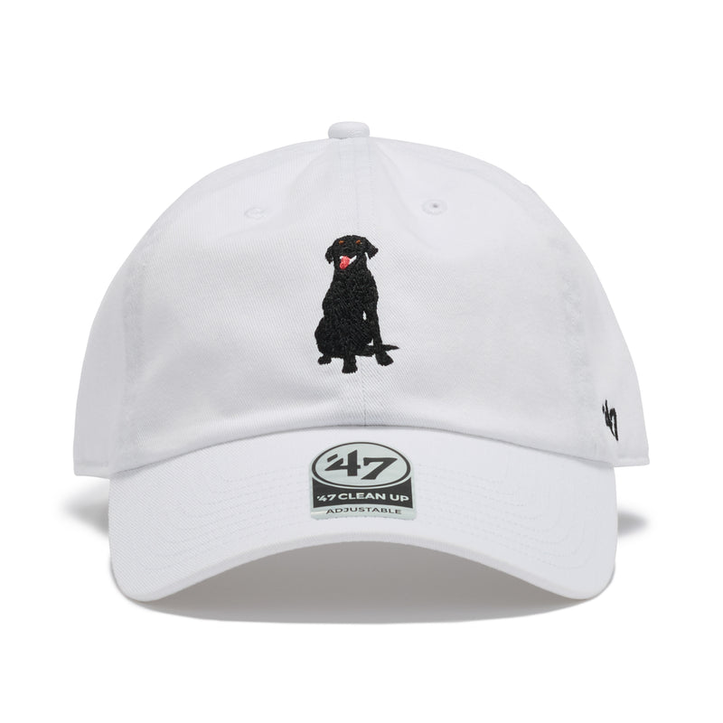 47 クリーンナップ DOG ラブラドールレトリバー ココナッツ – '47