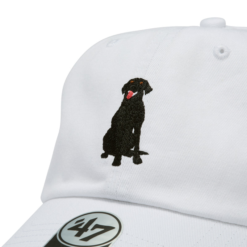47 クリーンナップ DOG ラブラドールレトリバー ココナッツ – '47