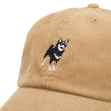 '47 クリーンナップ DOG 柴犬 ベージュ マルチカラー  | ’47 フォーティーセブン公式オンラインストア